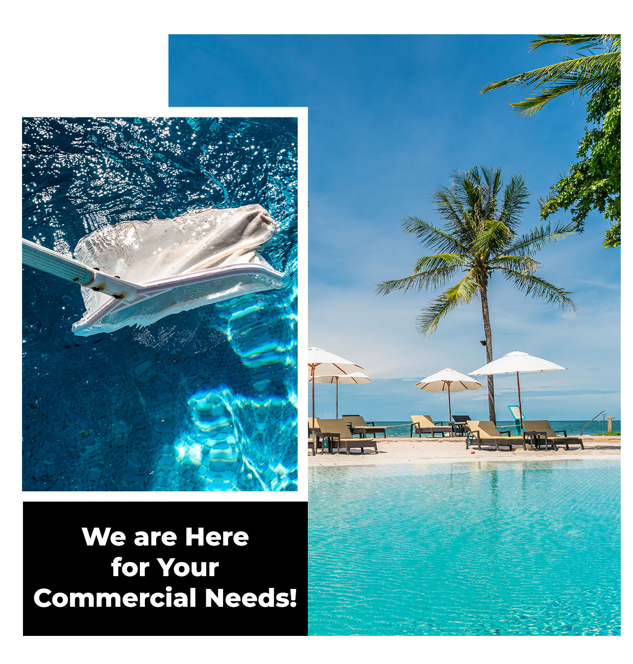 Commercial swimming pool need in the Ocala Florida area